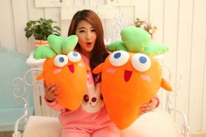 Bantal Print Karakter Wortel