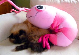 Membuat Boneka Karakter Udang Dari Kain Velboa Pink